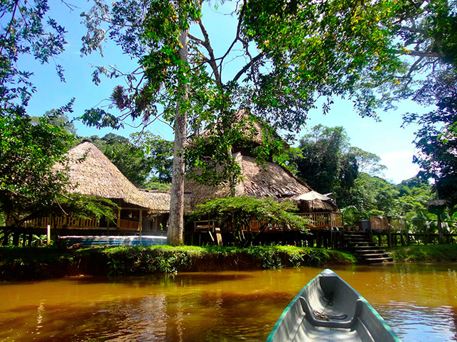 LODGE EN LA AMAZONIA